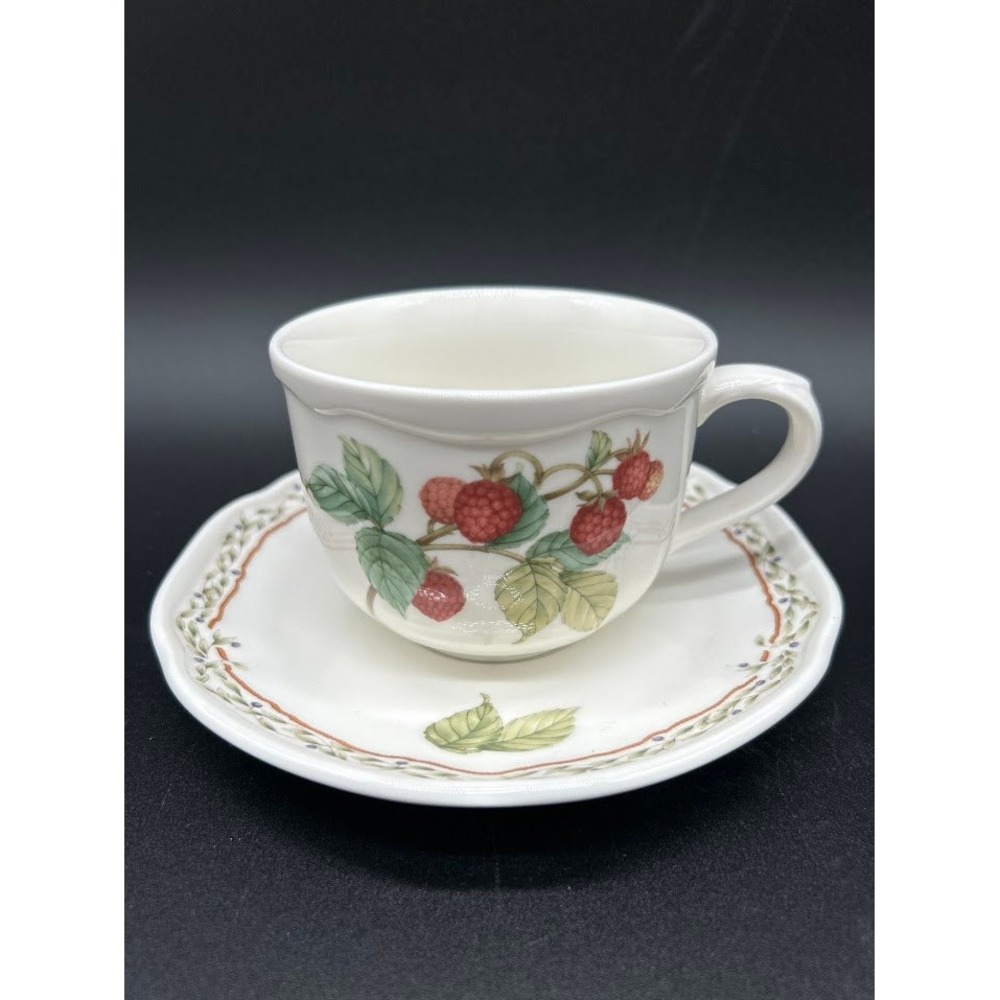 Noritake Casual Gourmet Harvest Raspberry Tea Cup and Saucer Set